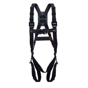 Pioneer™ Advanced 2-Point Harness